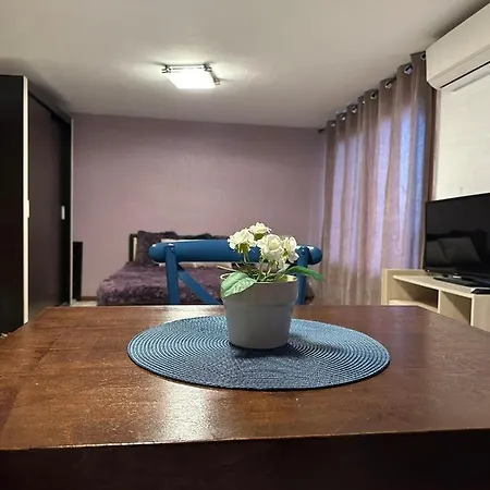 Apartment николета